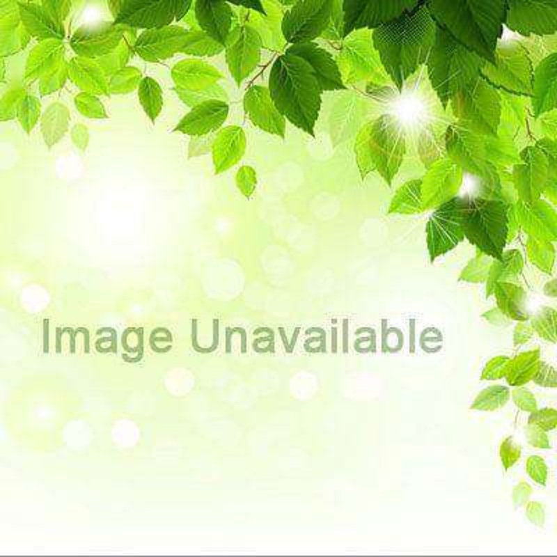 Caldwell Brass Retriever –