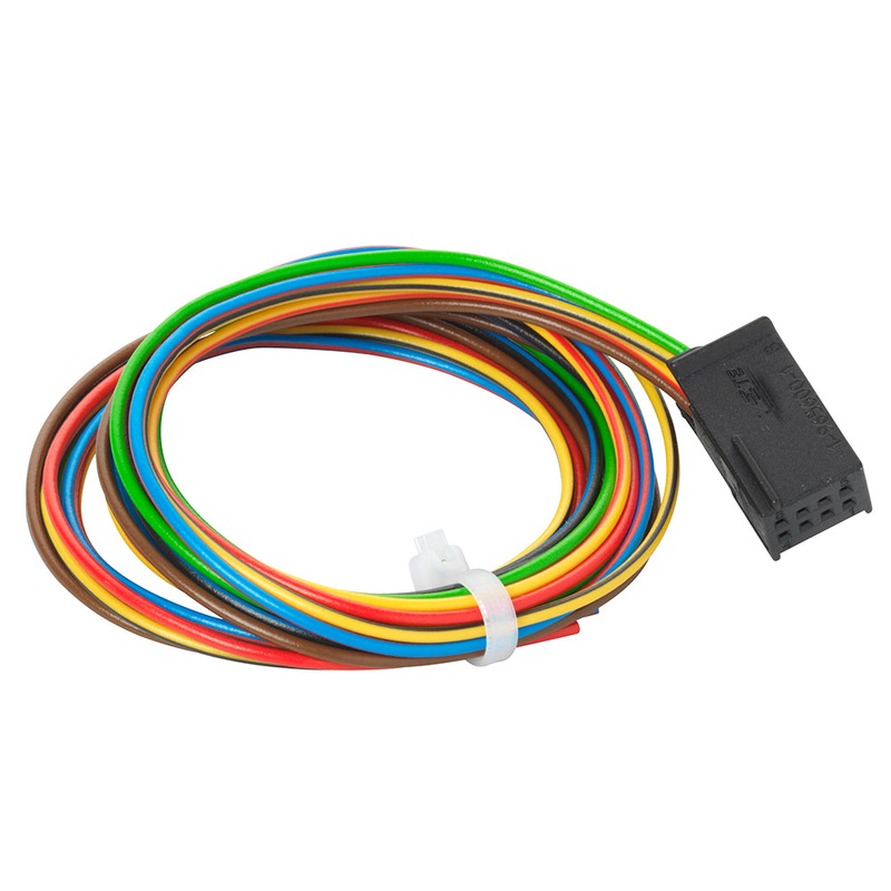 20ft Blue Cat6